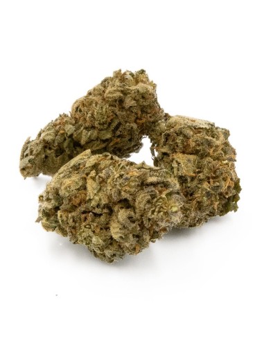 Infusion Fleurs CBD - Orange Bud - Indoor